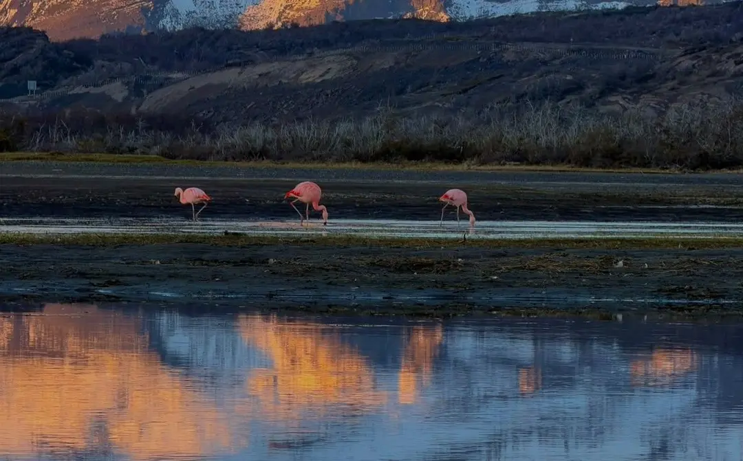 Galería imagen